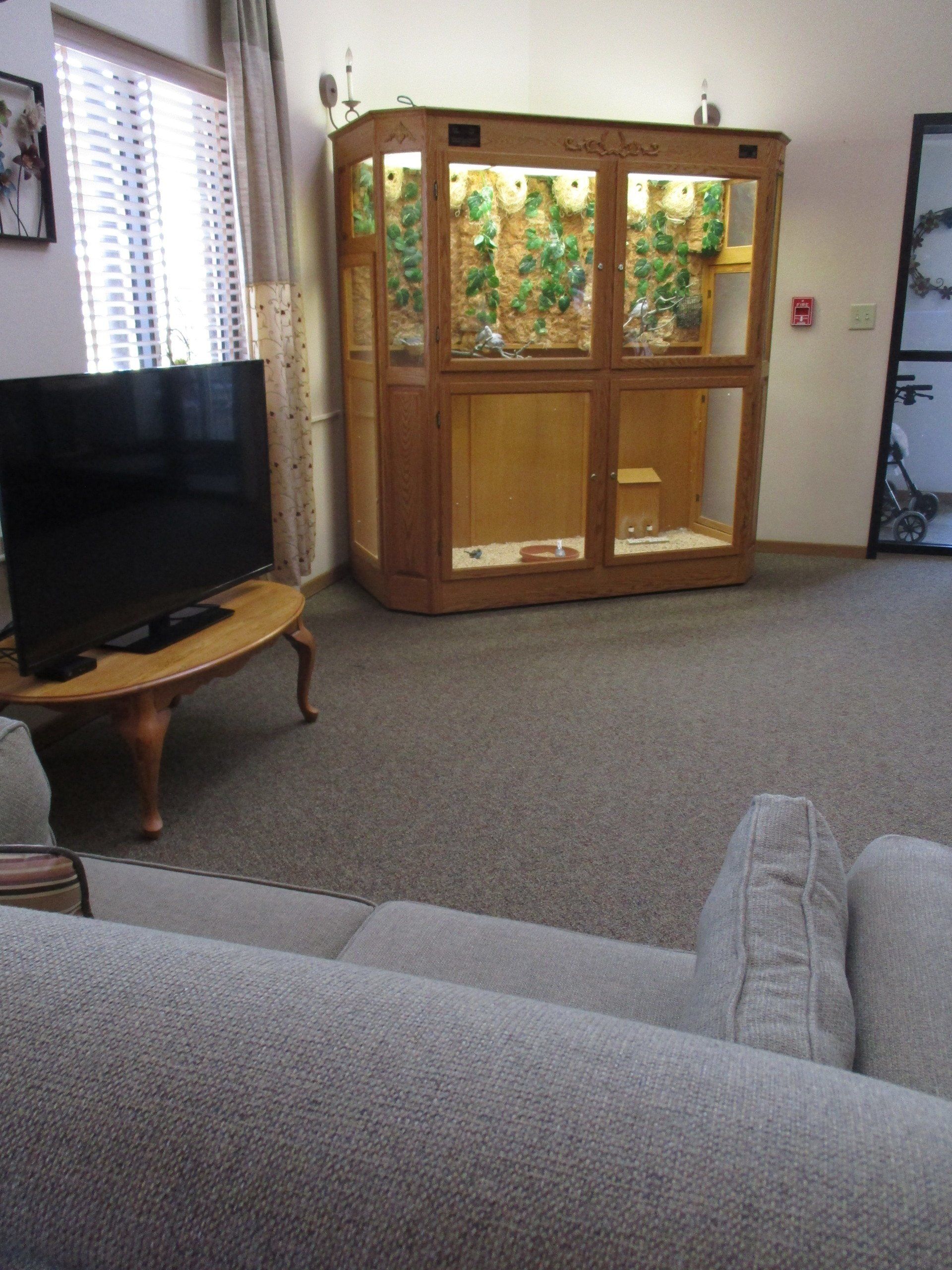 A living room with a couch and a television