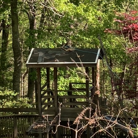 A wooden gazebo in the middle of a forest