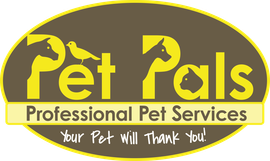 Hire Pet Pals for dog walking, dog sitting, cat sitting, doggy daycare, and more!