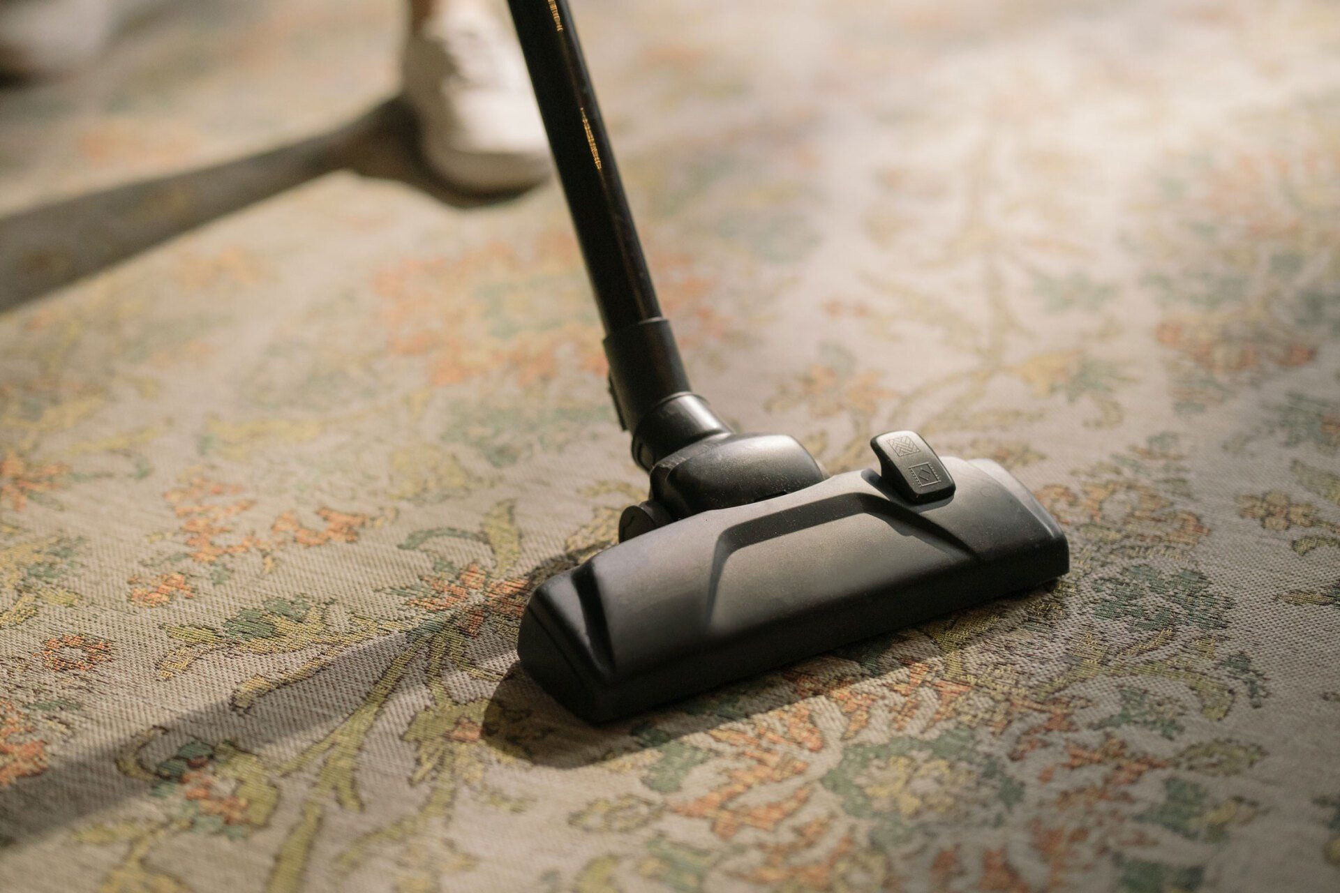 Carpet and Upholstery Cleaning