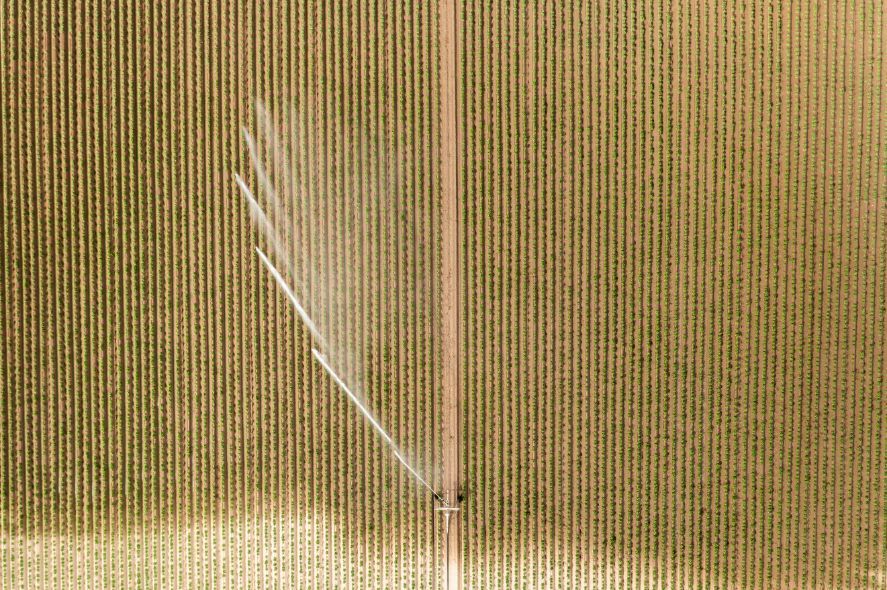 A sprinkler is spraying water on a lush green field. Services Tall Crop 620-617-1662