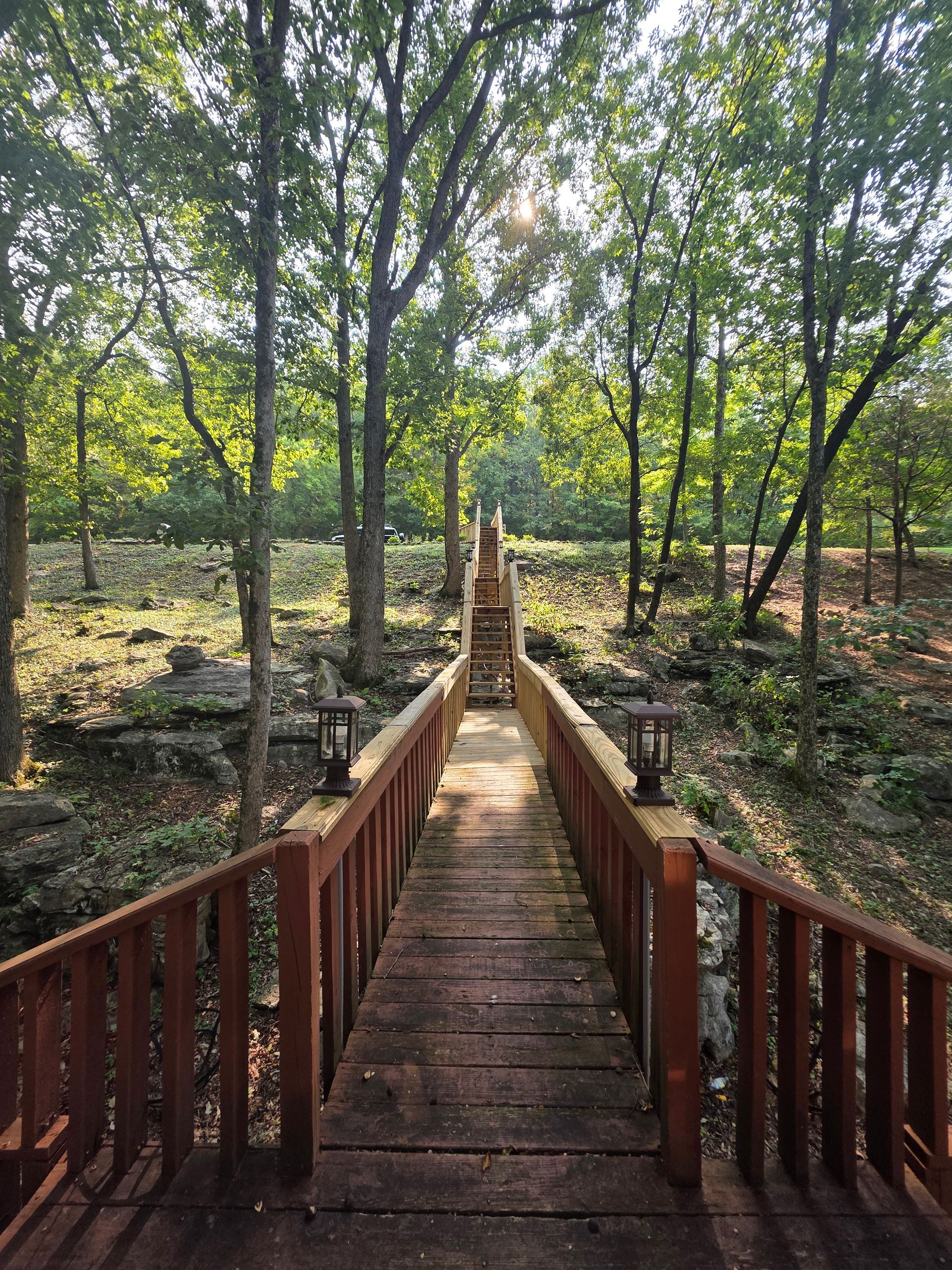 Wooden walkway leading up through a forest. Sun shining.