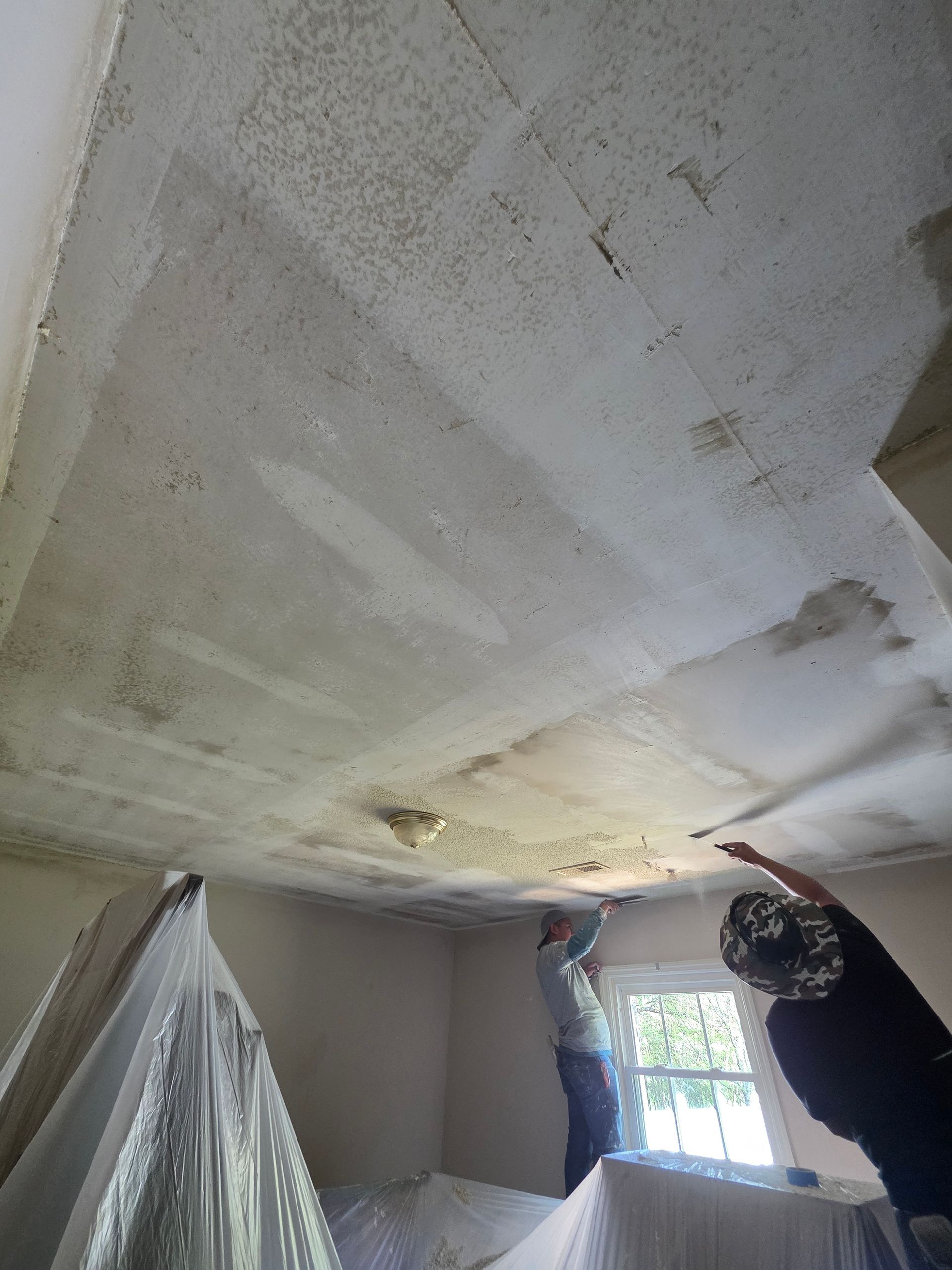 People inspect mold-covered ceiling. White room, plastic sheeting covers walls and furniture. Sunlight streams from window.