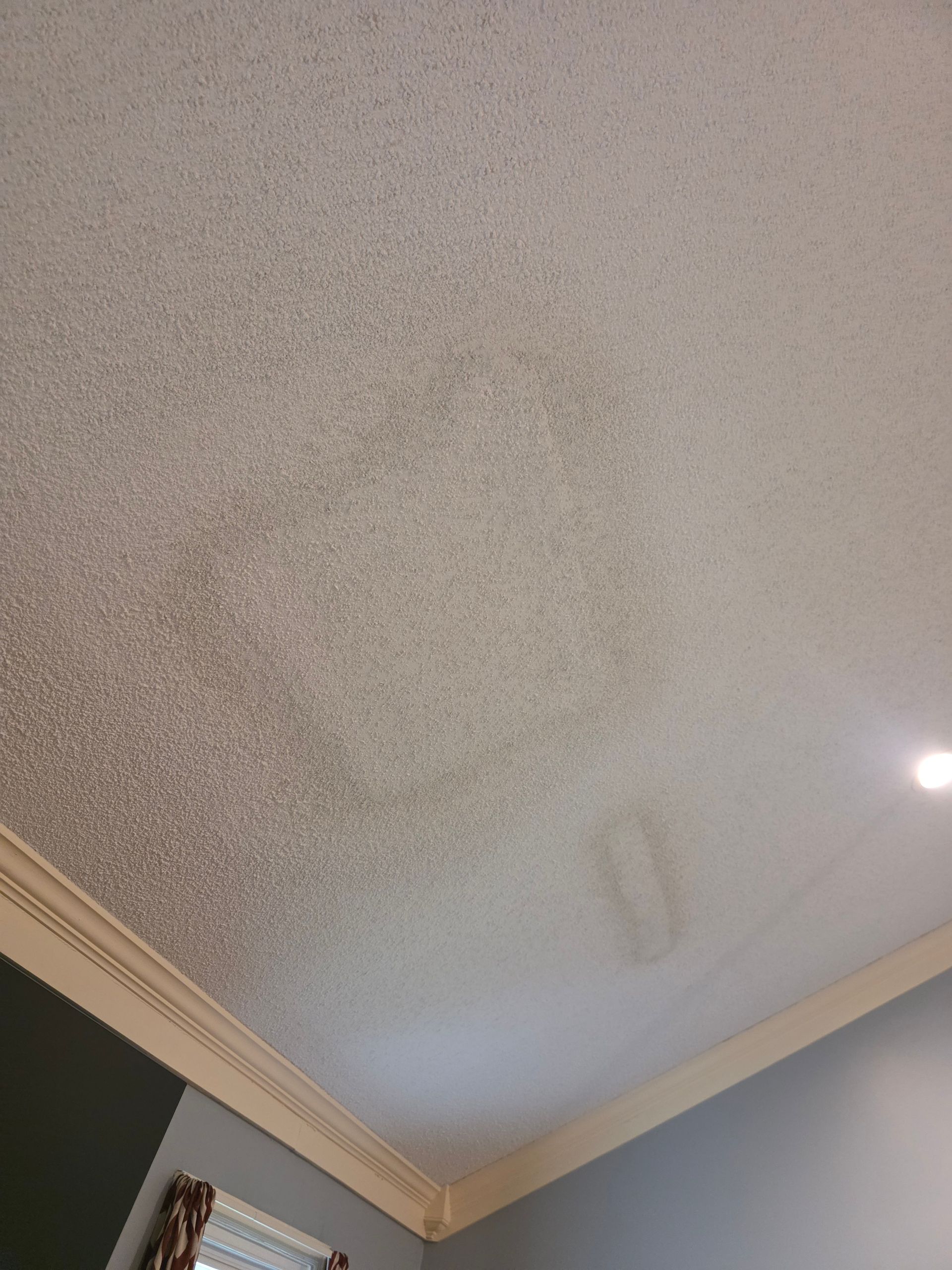 Textured ceiling with water stains, corner molding, and blue wall.
