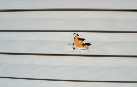 Hole in white vinyl siding exposing brown wood underneath.