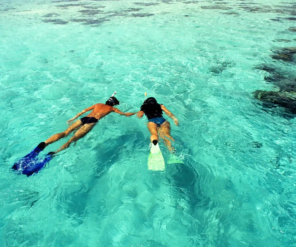 A man and a woman are swimming in the ocean.