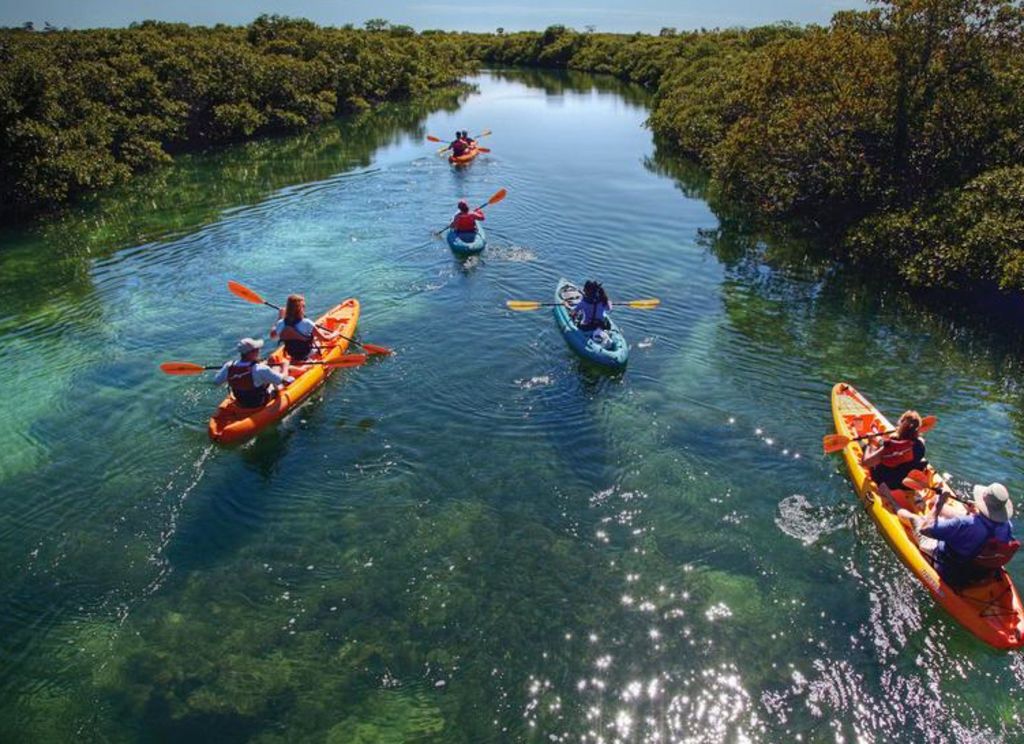 A group of people are kayaking down a river