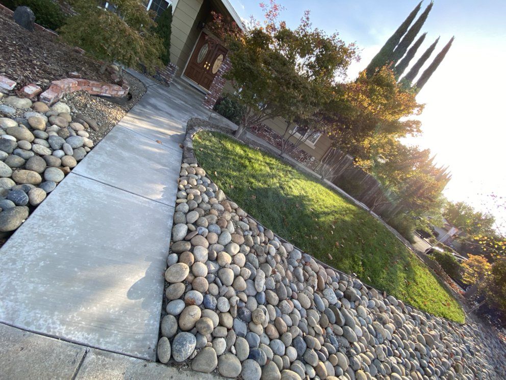 A concrete walkway surrounded by rocks and grass in front of a house.