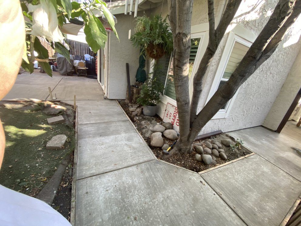 A concrete walkway leading to a house with a tree in the middle.