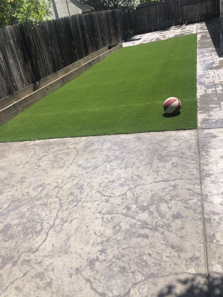 A ball is sitting on top of a lush green lawn in a backyard.
