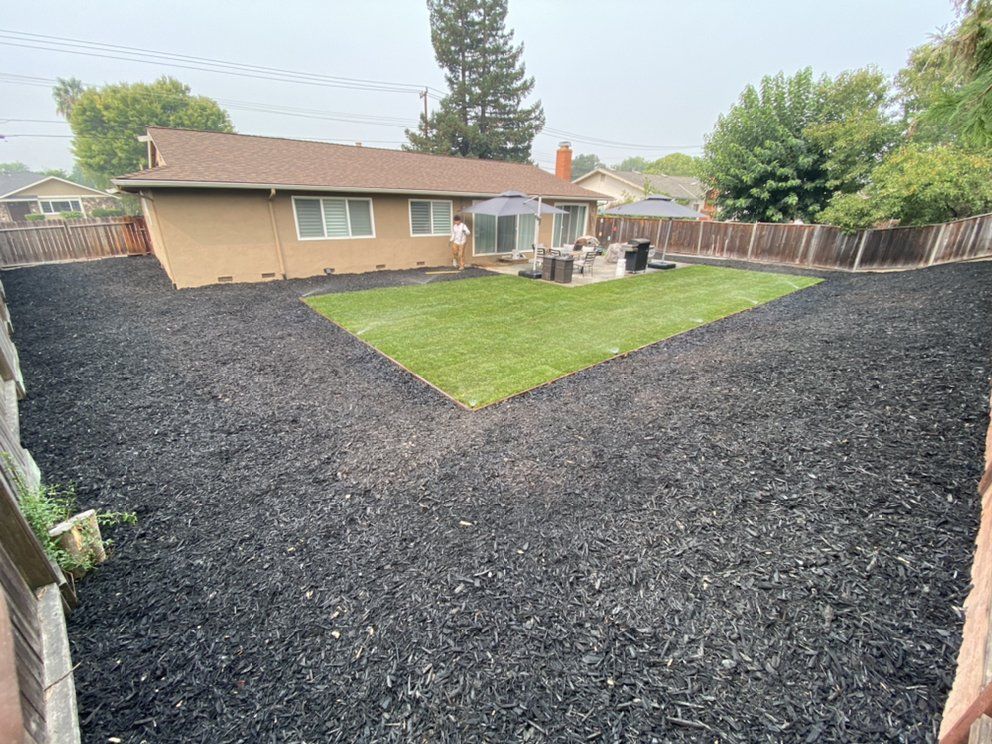 A backyard with a lot of black mulch and a house in the background.