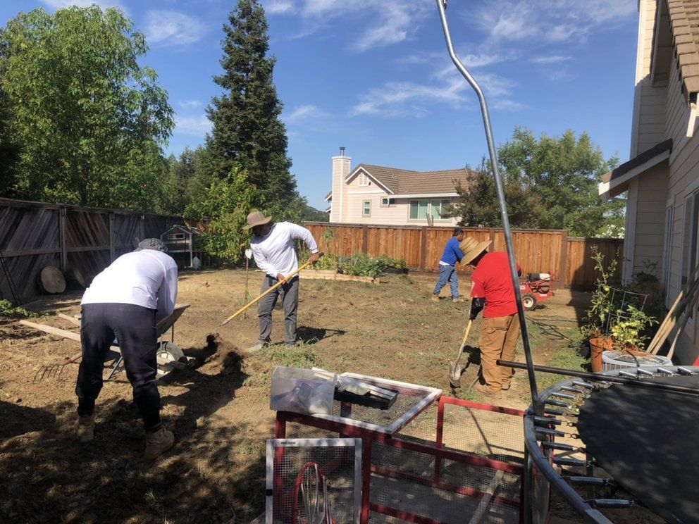 A group of people are working in a backyard.