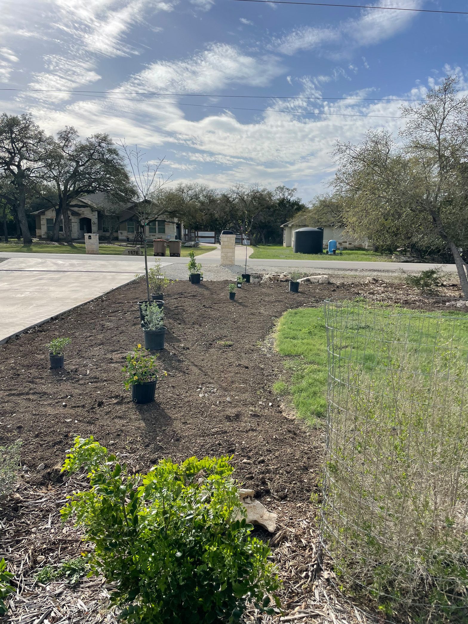 A row of potted plants in a garden with a house in the background.