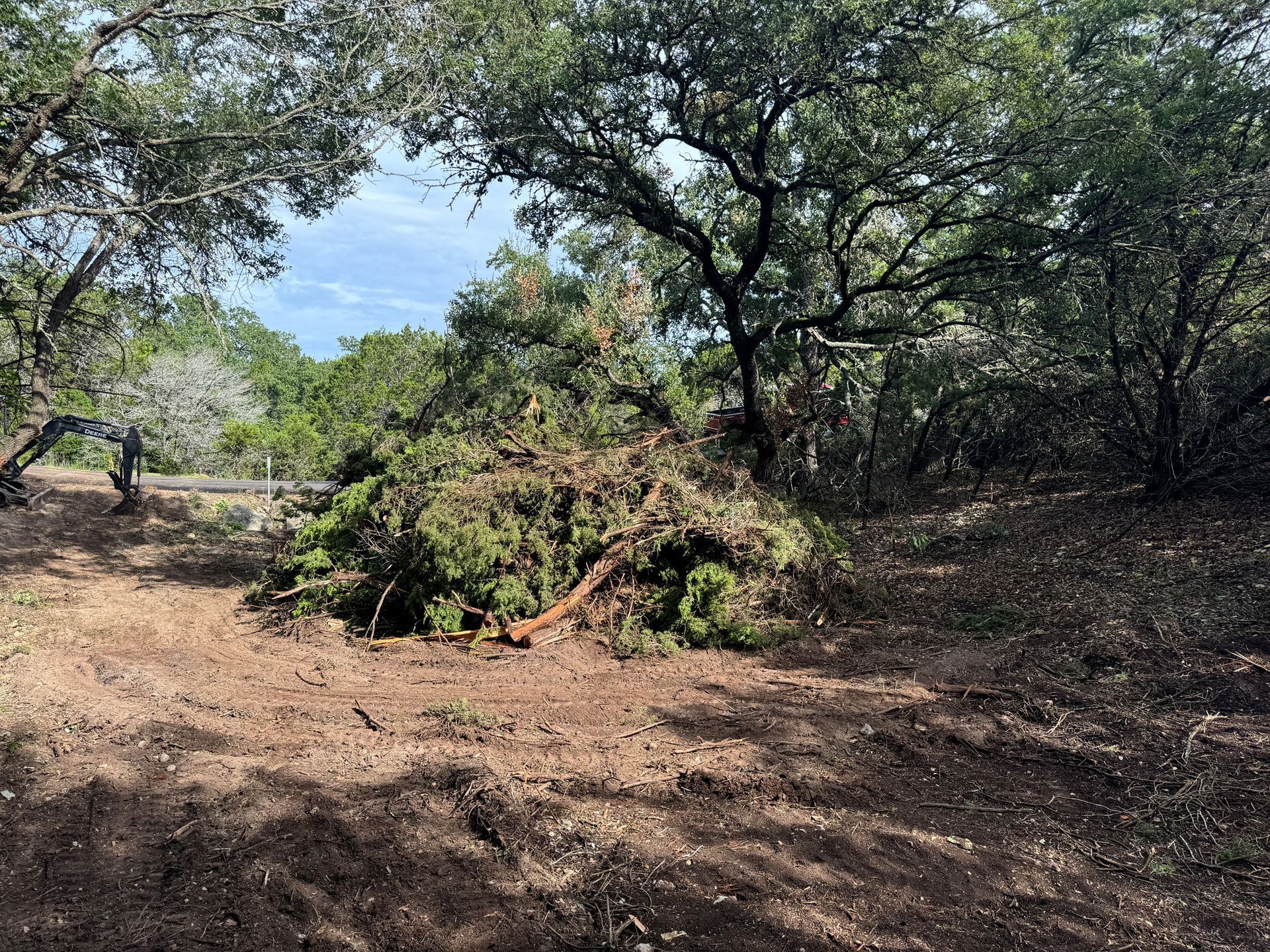A pile of tree branches is sitting in the middle of a forest.
