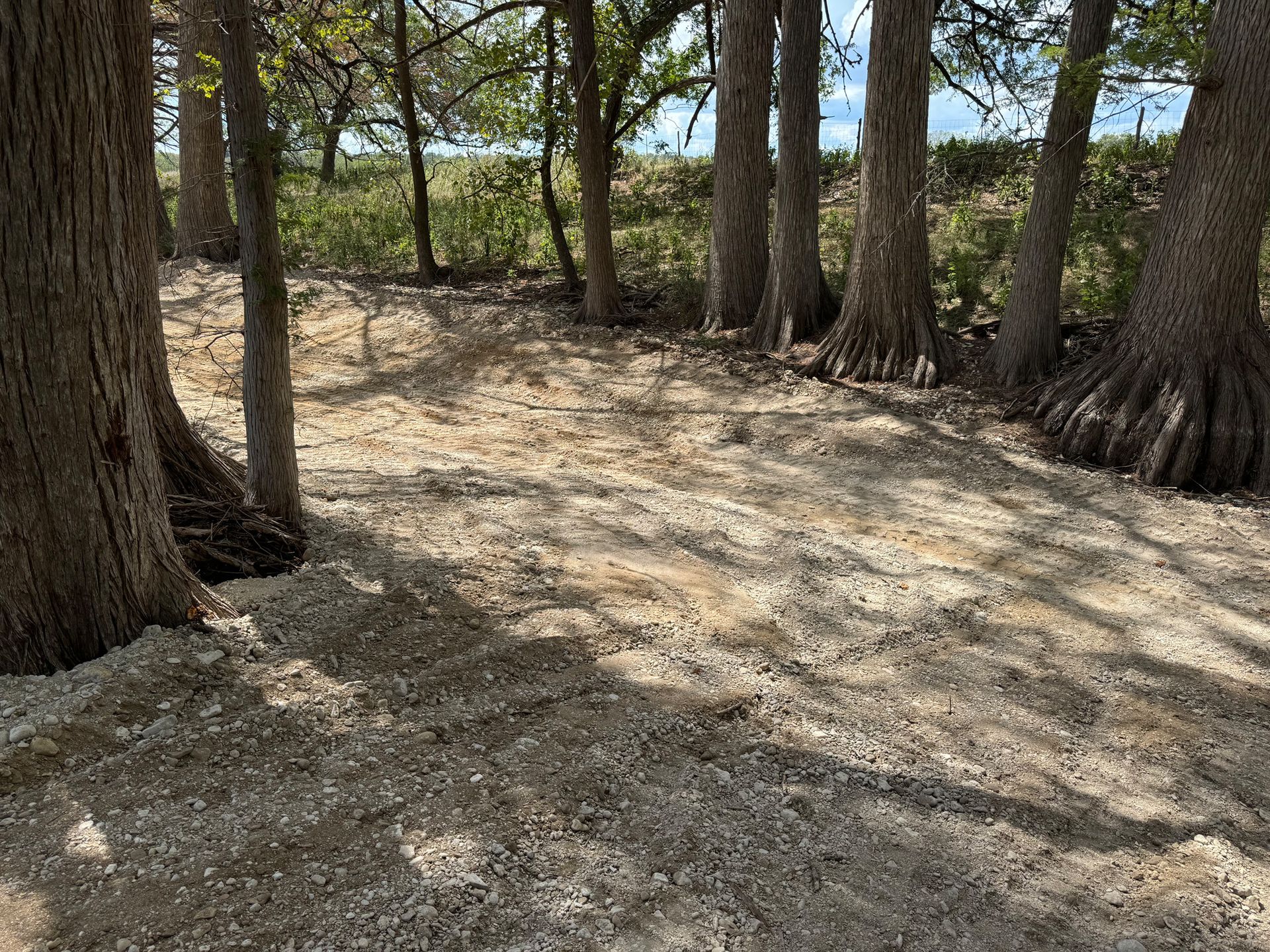 A dirt path in the middle of a forest surrounded by trees.