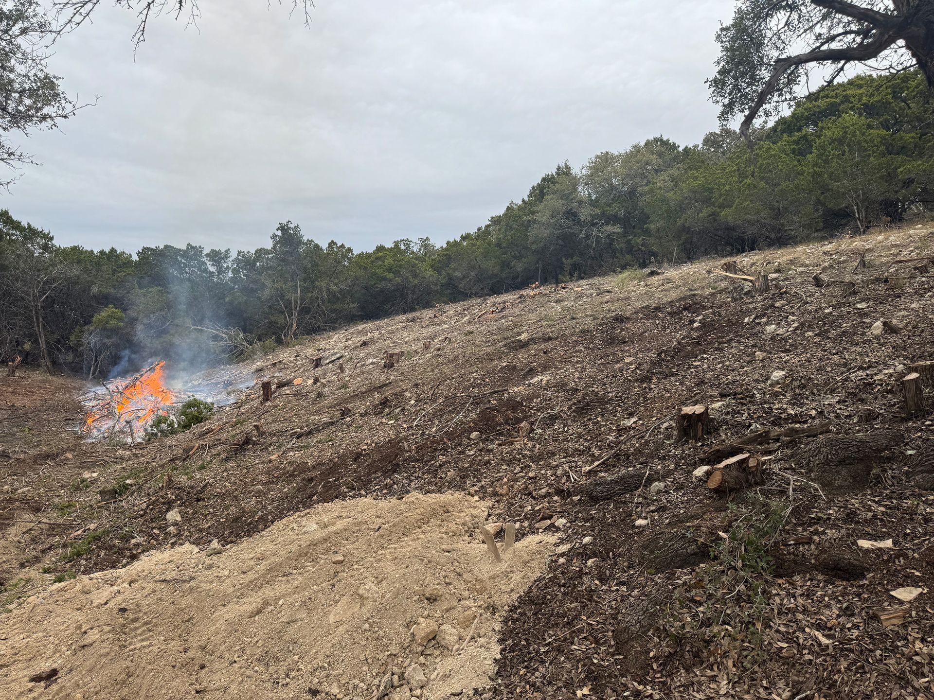 Fire burning on a hillside; dry brush and trees surround the flames; cloudy sky.