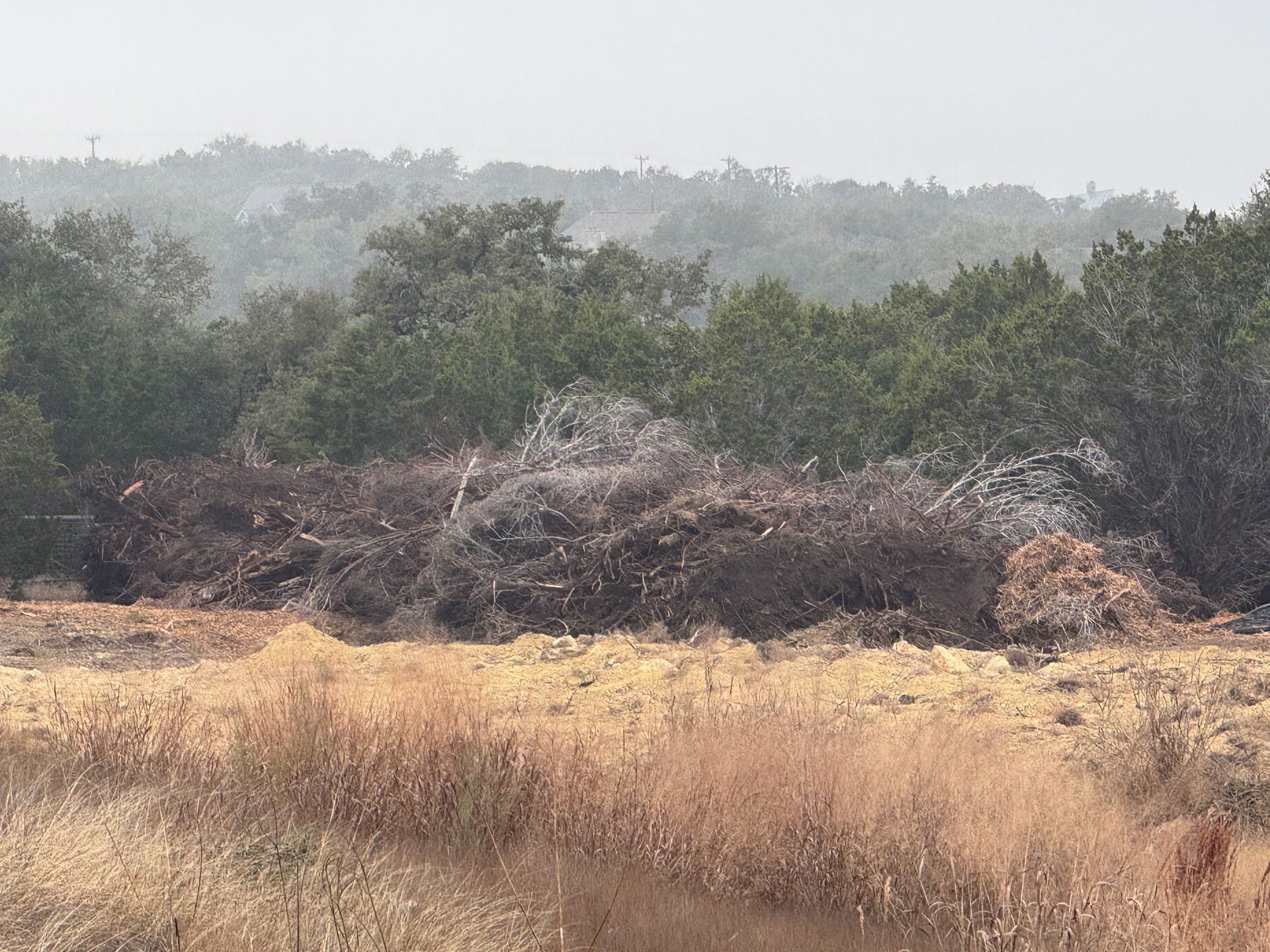 A large pile of wood is in the middle of a field with trees in the background.