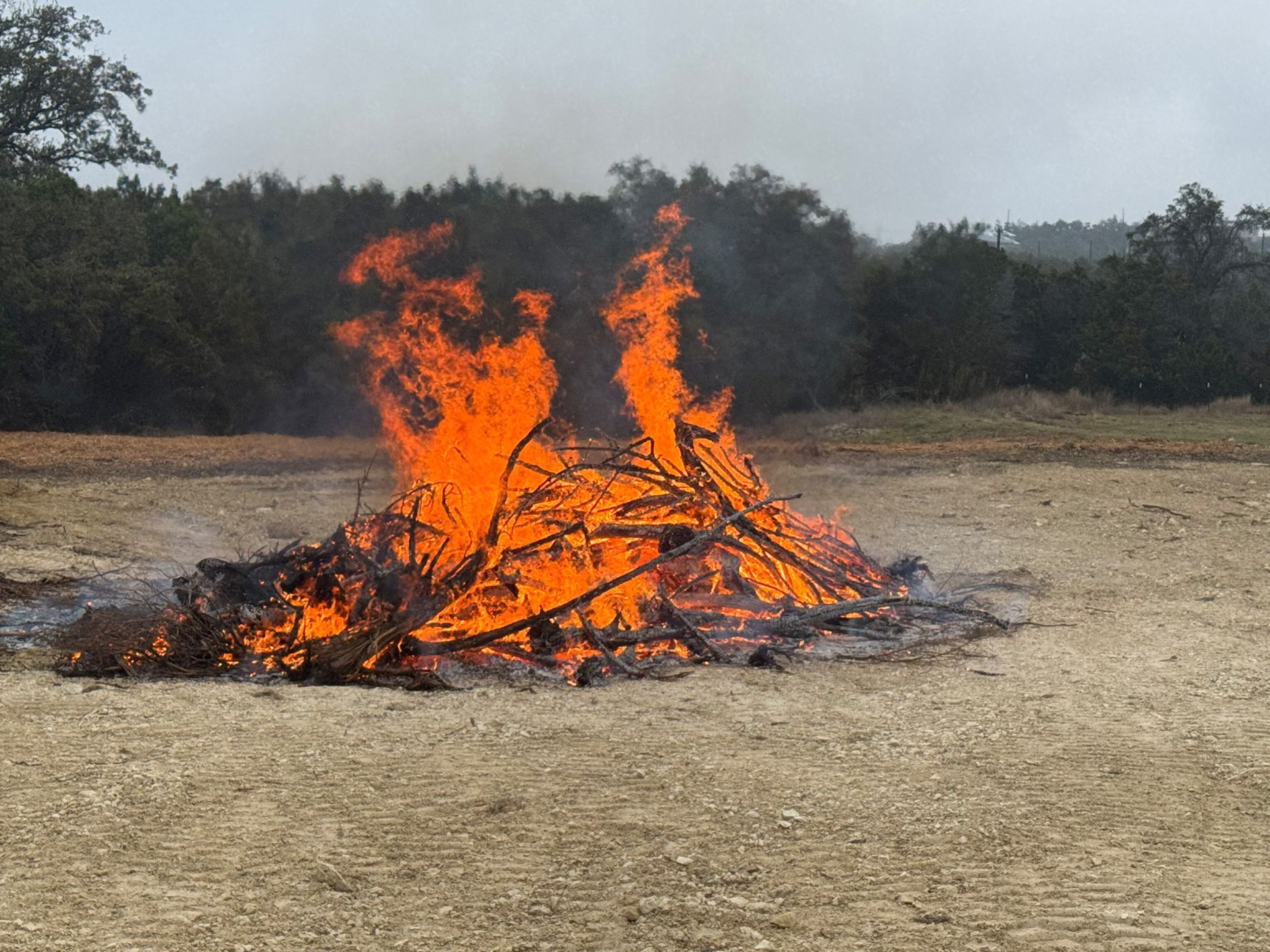 A large bonfire of wood and branches, flames burning brightly in a field.