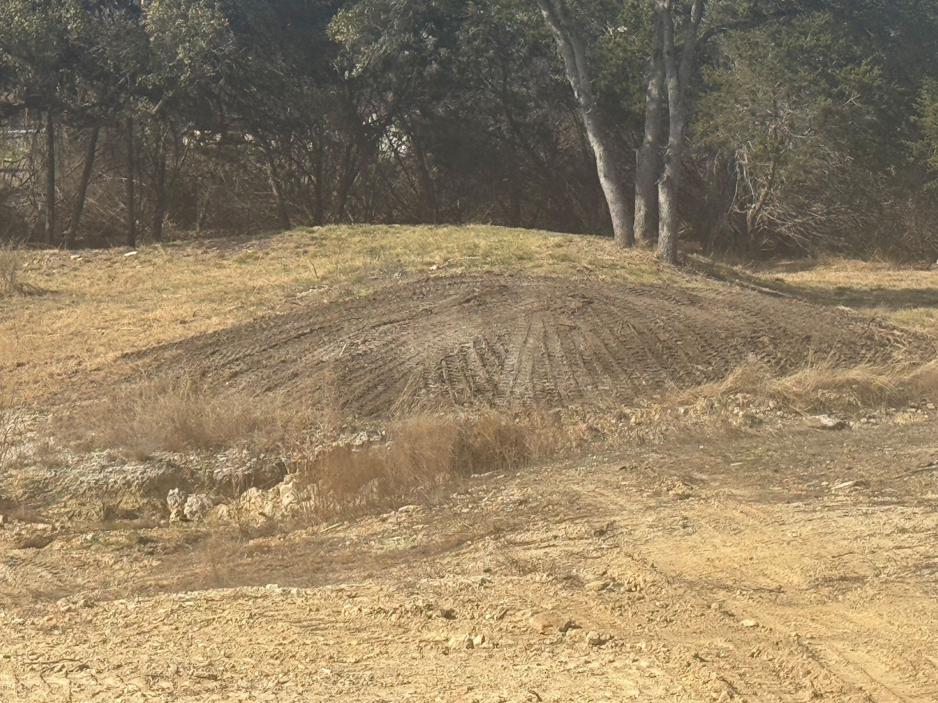 A dirt field with trees in the background.