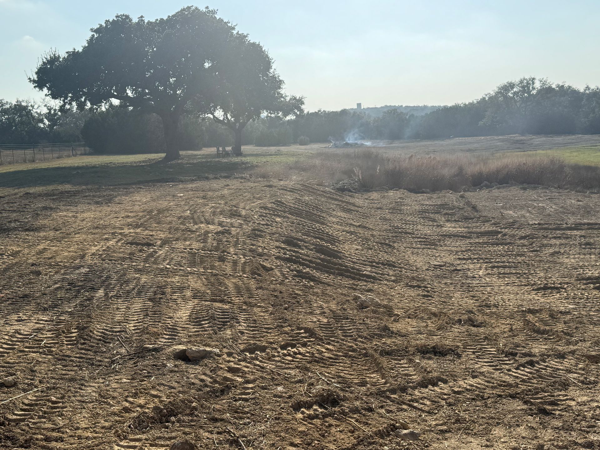 A field with a tree in the middle of it