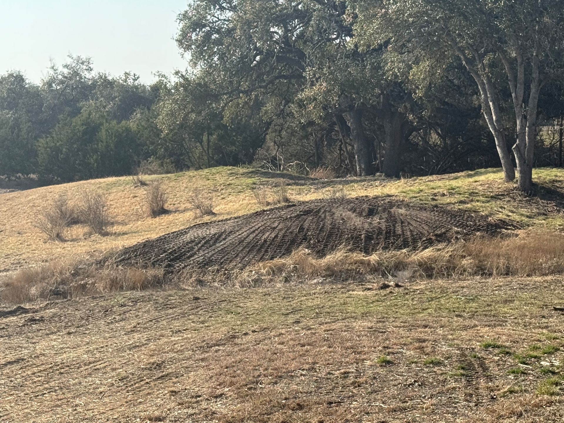 A dry grassy field with trees in the background.