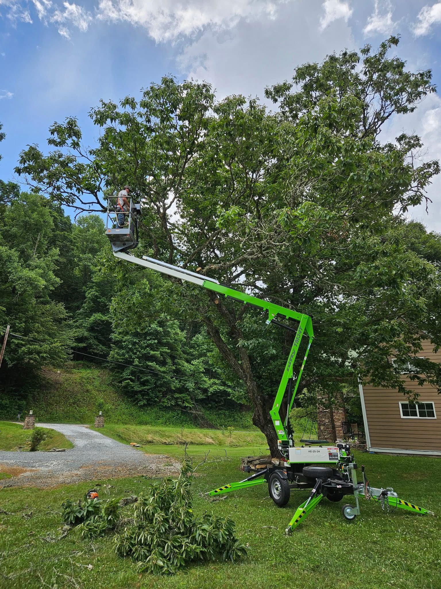 Green boom lift raised beside a tree, with branches trimmed on the ground near a house.