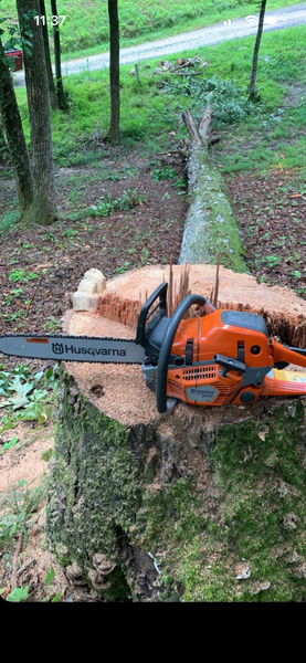 Orange chainsaw resting on a cut tree stump in a wooded area, with a fallen log nearby.