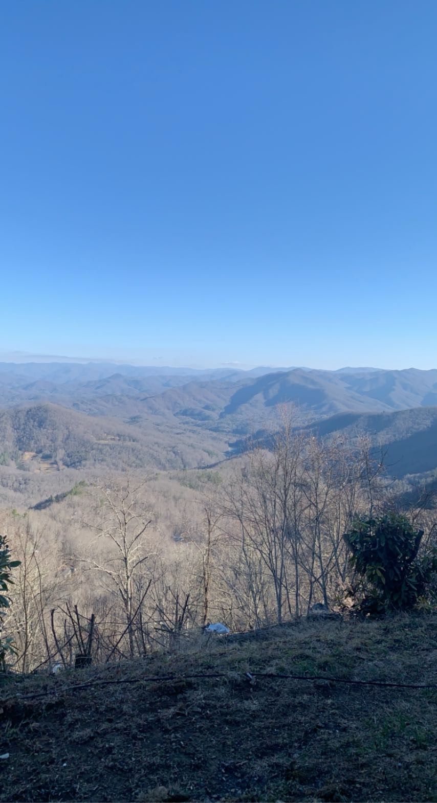 Mountain valley view under a clear blue sky, with leafless trees in the foreground.