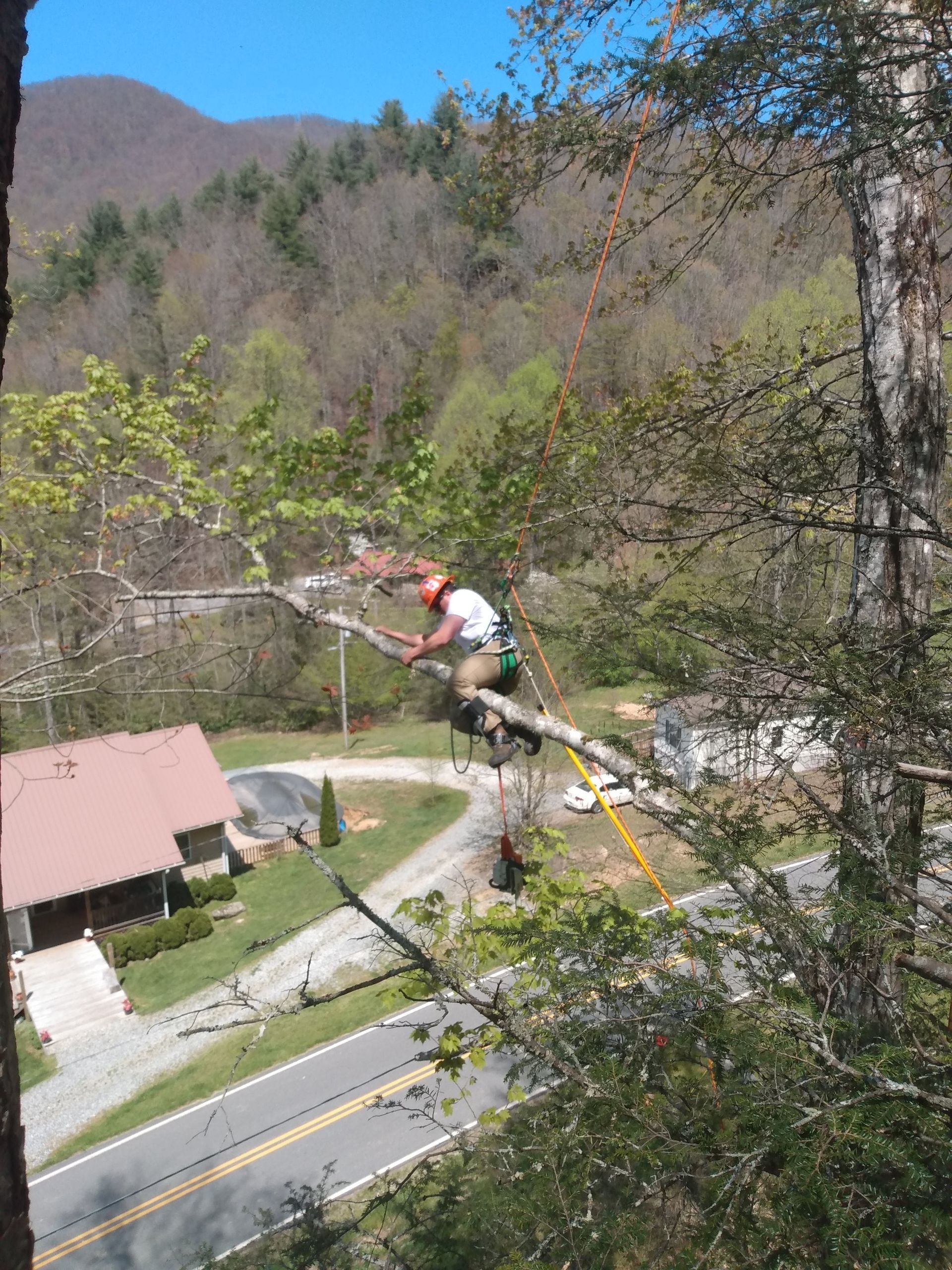 Climber on a zip line over a road beside trees, houses, and mountains on a sunny day
