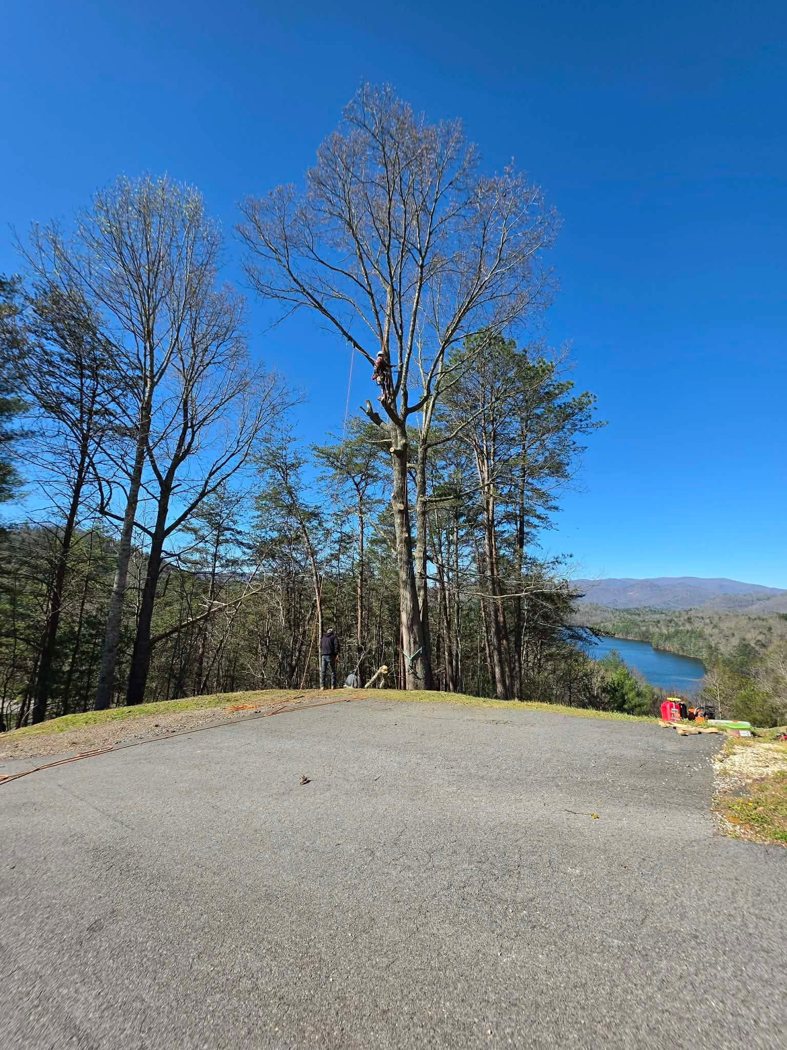 Gravel overlook with trees, blue sky, and distant mountains beside a lake.