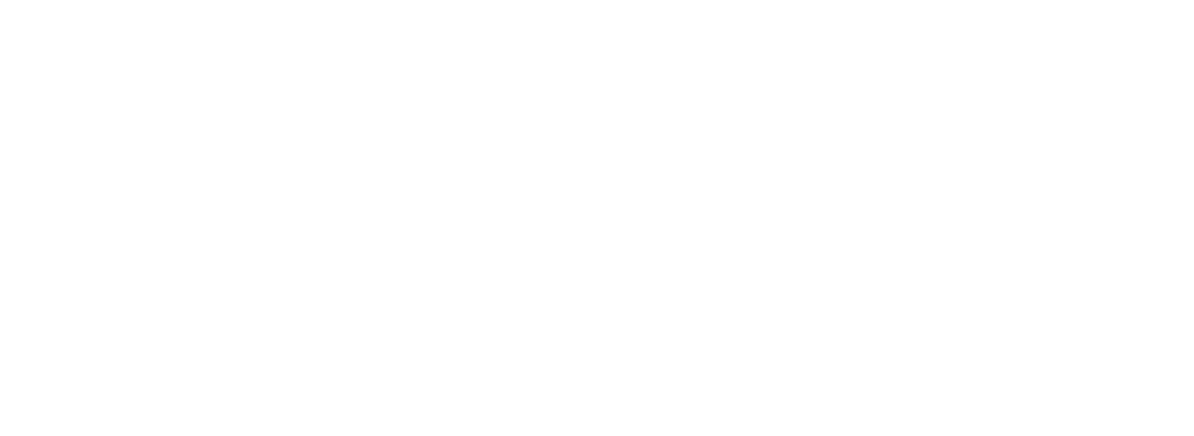 logo bianco