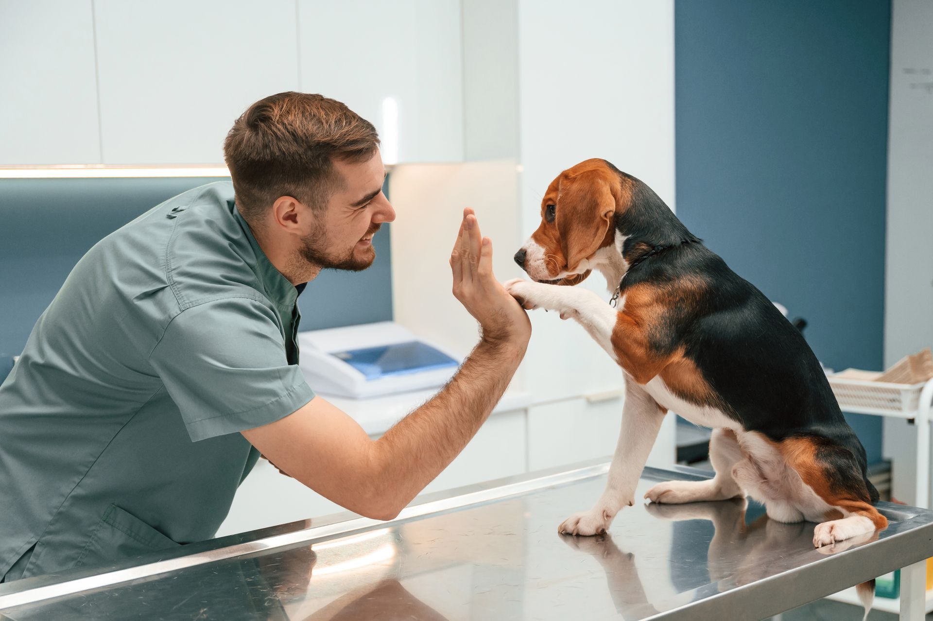 A dog giving a high five with a paw to a veterinarian.