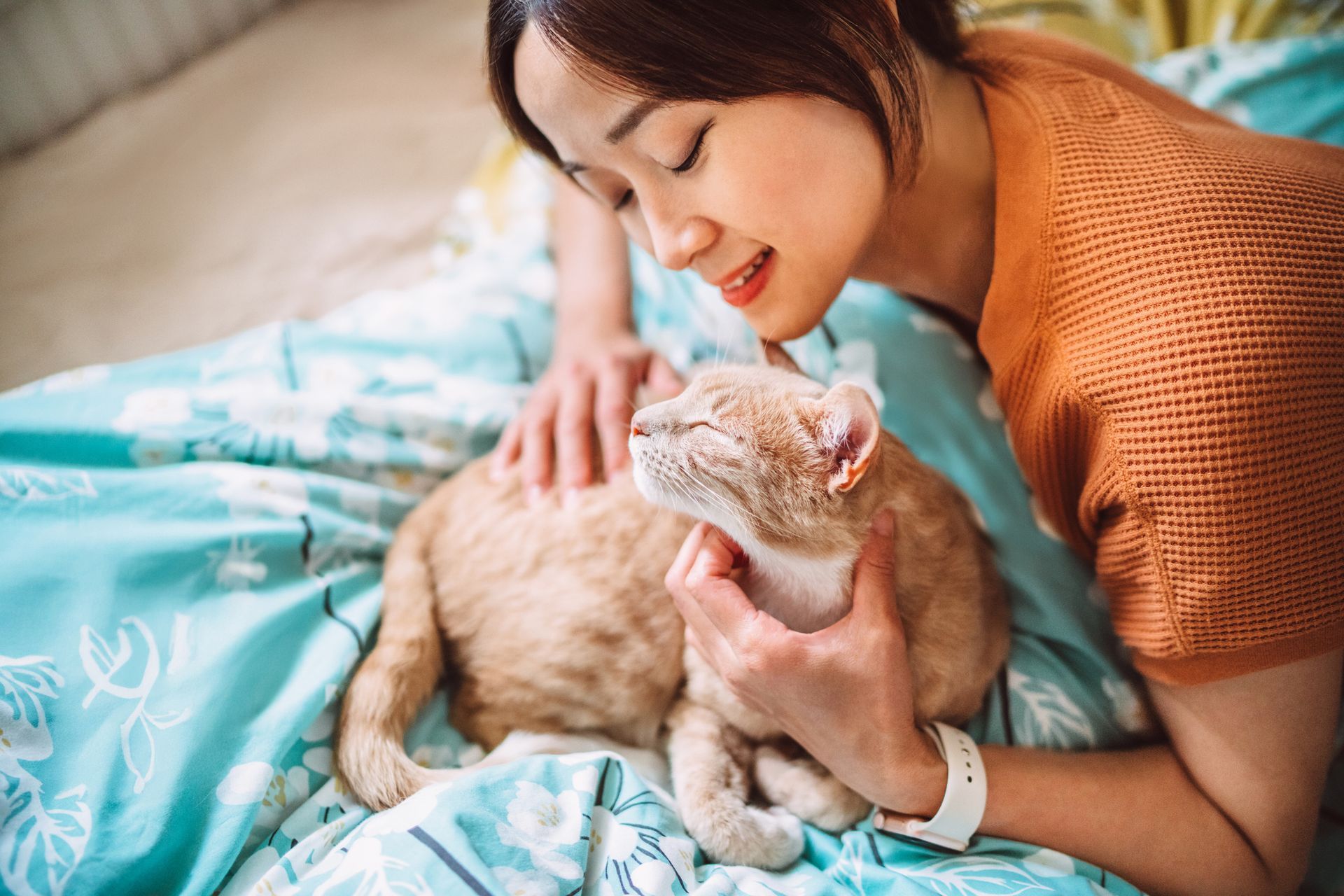 Woman bonding with her cat on bed at home. Woman bonding with her cat on bed at home.