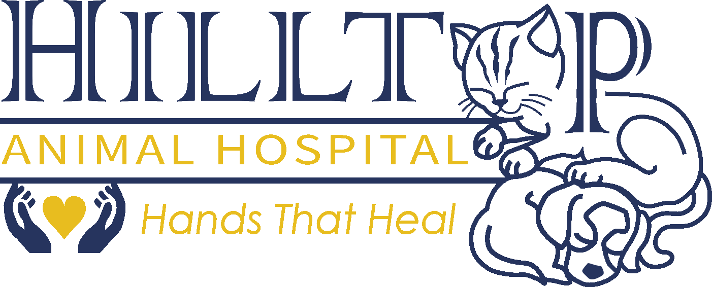 Hilltop Animal Hospital - Experienced Veterinarian in Palatine logo