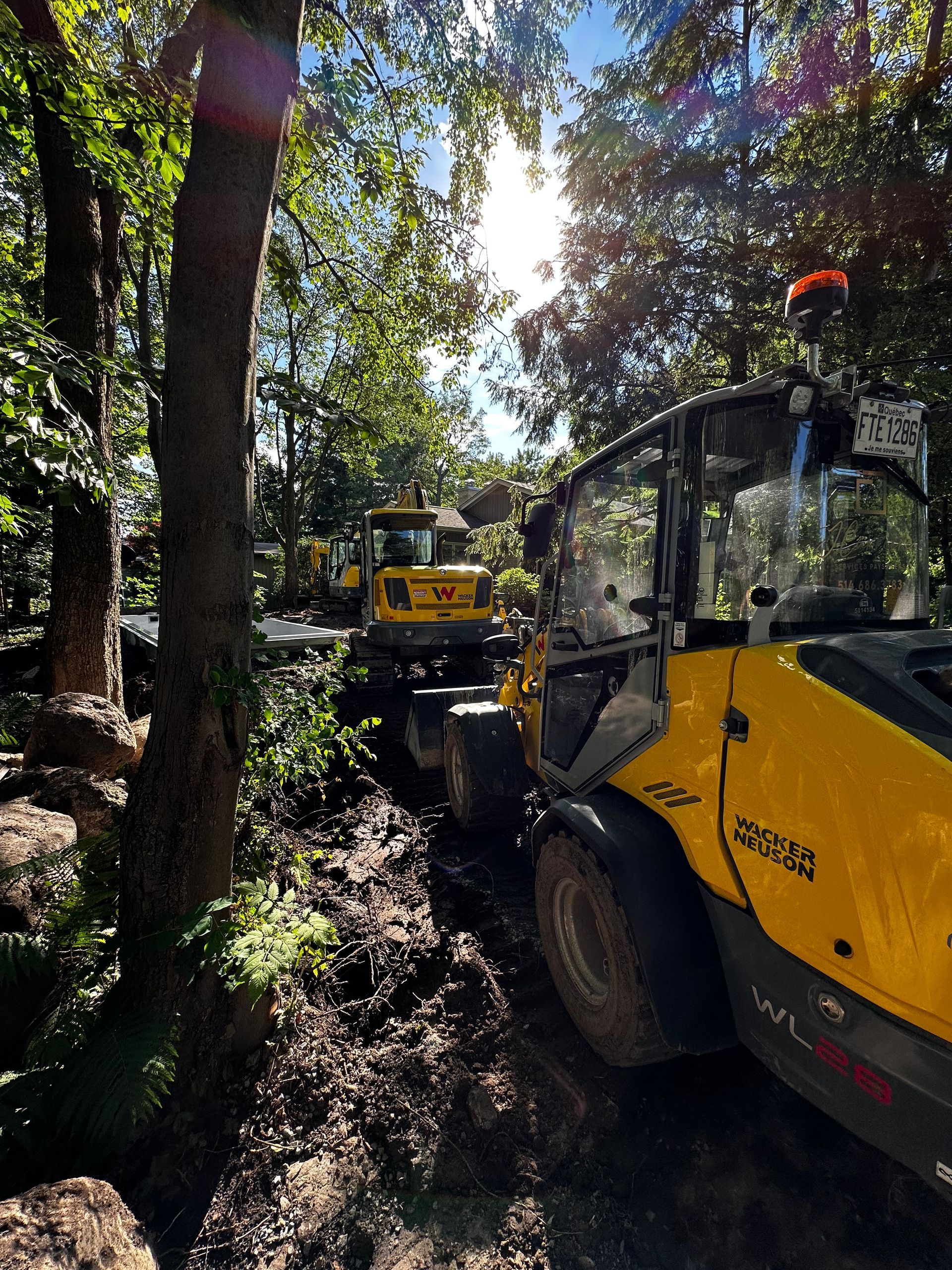Un tracteur jaune est garé au milieu d'une forêt