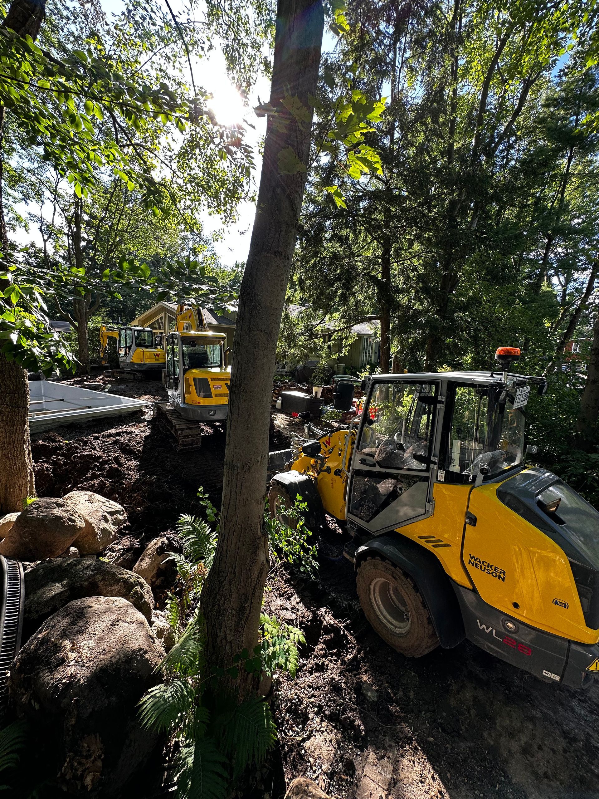 Un tracteur jaune est garé à côté d'un arbre au milieu d'une forêt.