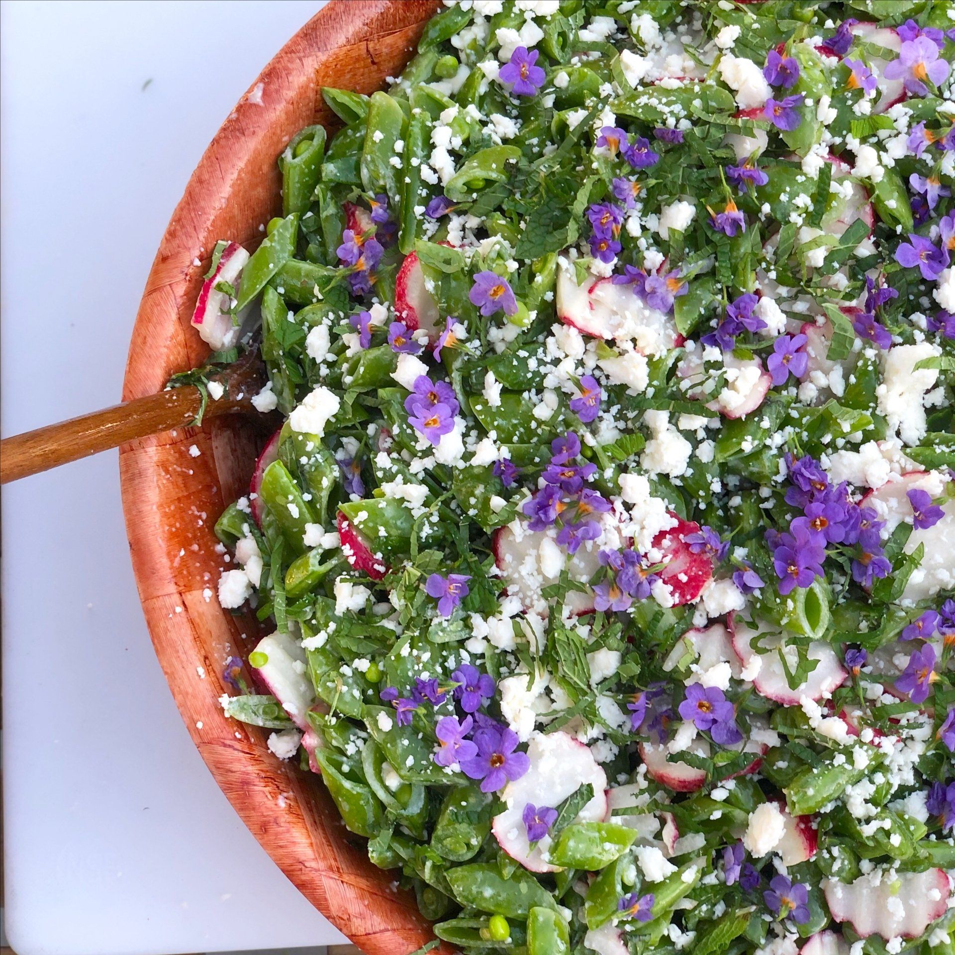 Beyond Basile Mobile Pizzeria & Wood Fired Pizza Catering Service