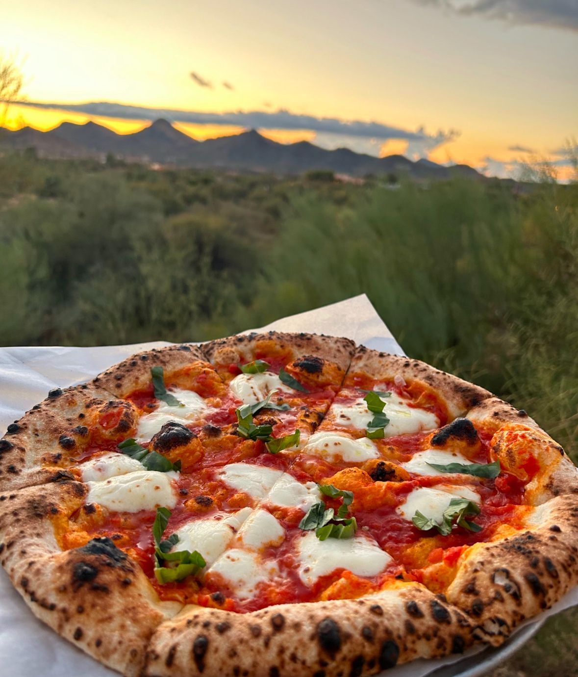 A Beyond Basil Mobile Pizzeria pizza is sitting on a peel in front of a pizza oven.