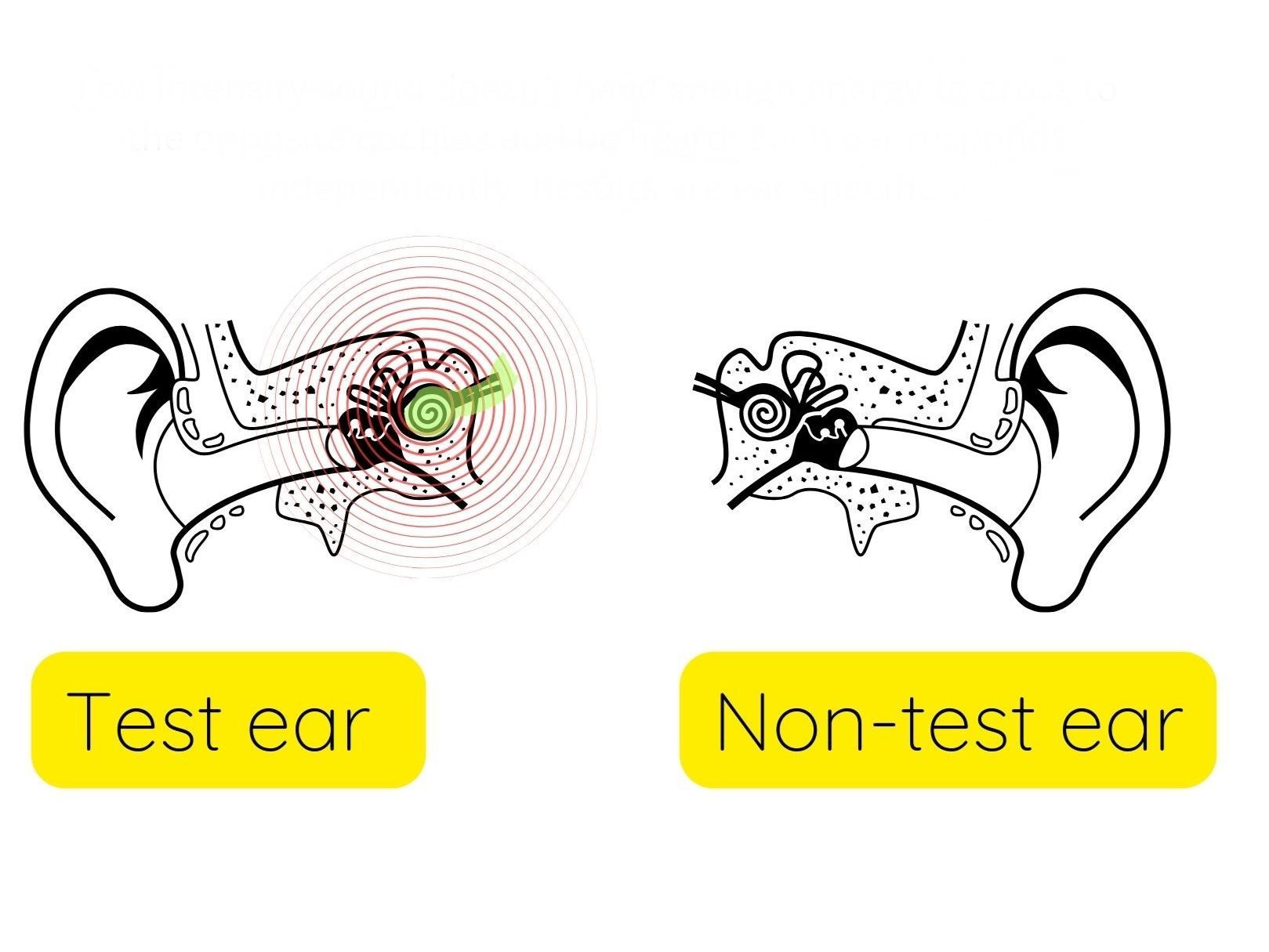 Masking in Audiology | Hearing Care