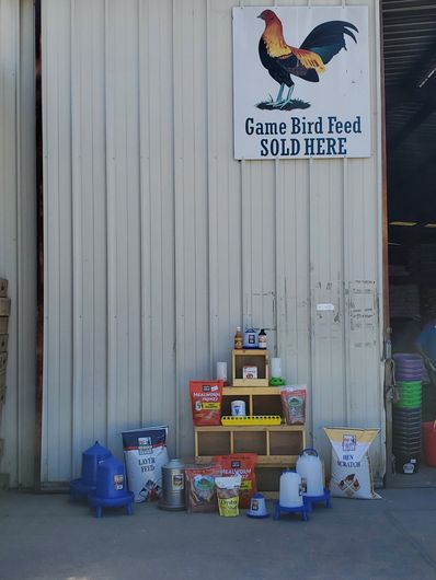 Animal feed outlet supply near me