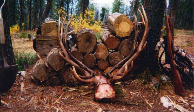 Clearwater Outfitters Gallery Image