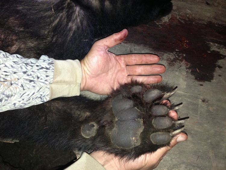 Clearwater Outfitters Gallery Image