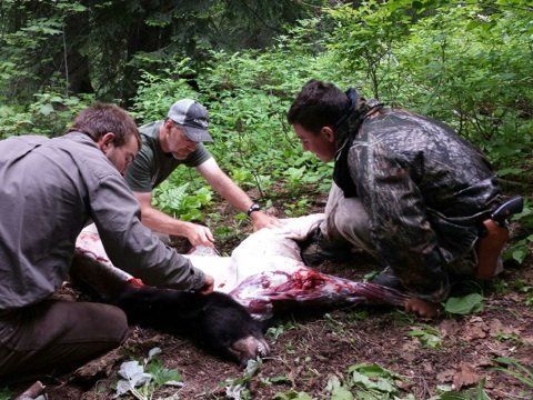 Clearwater Outfitters Gallery Image