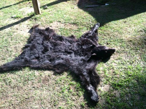 Clearwater Outfitters Gallery Image