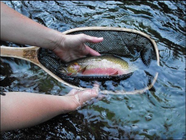 Clearwater Outfitters Gallery Image