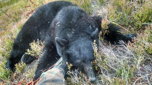 Clearwater Outfitters Gallery Image