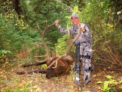 Big Game Hunting