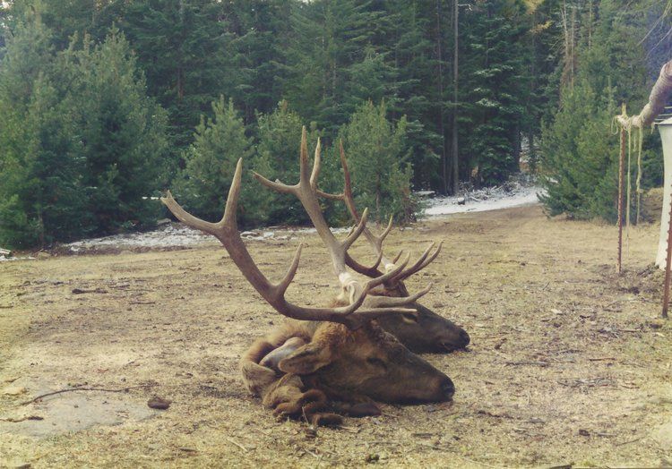 Clearwater Outfitters Gallery Image