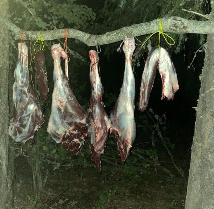 Clearwater Outfitters Gallery Image