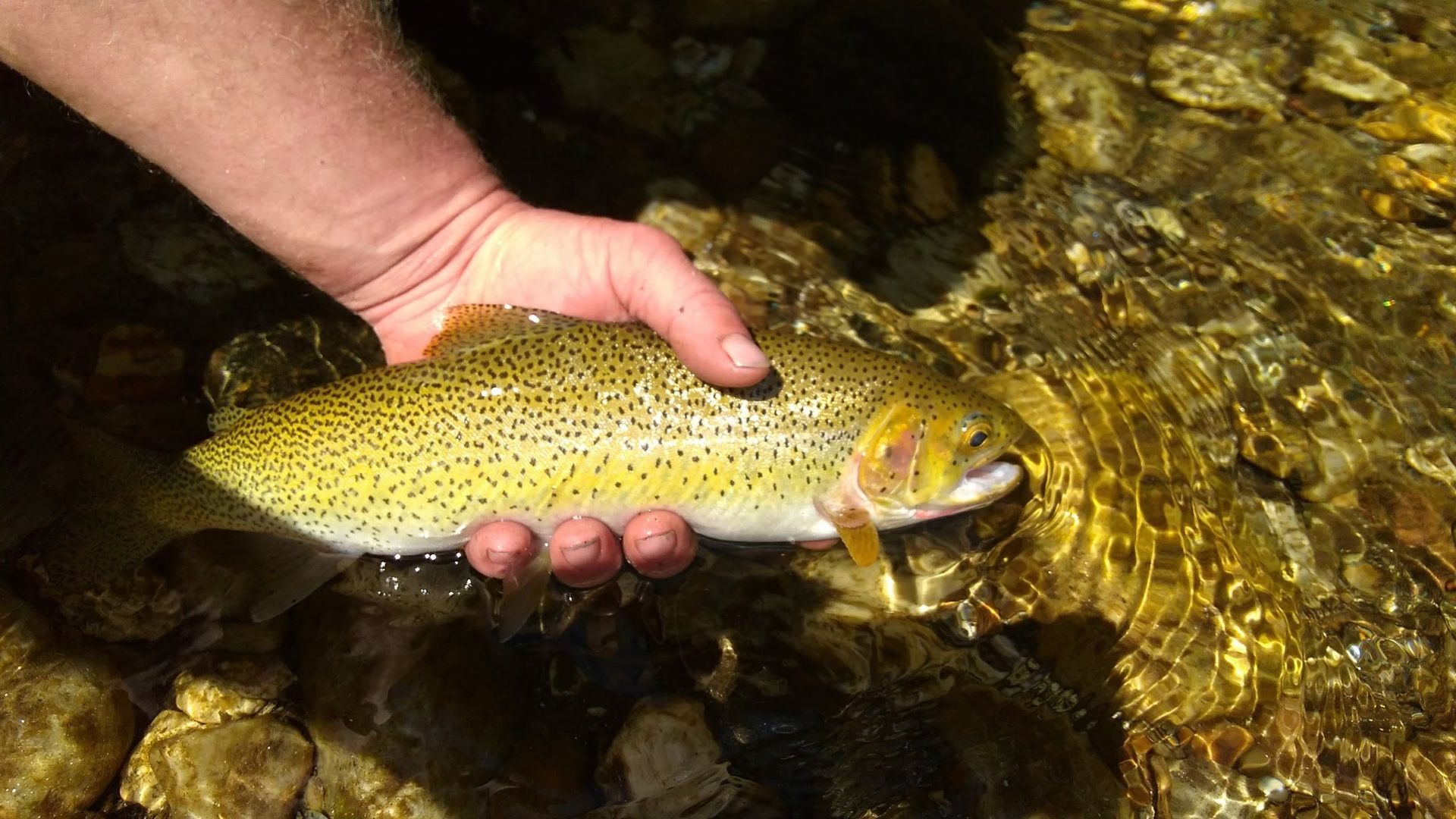 Clearwater Outfitters Gallery Image